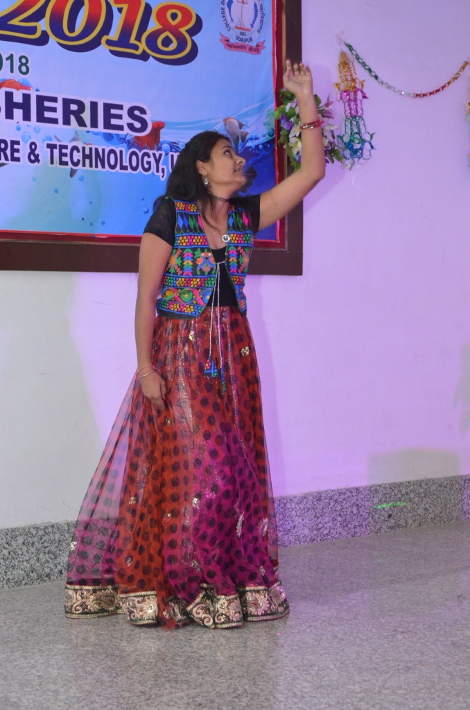 Cultural programmes  in LEHAR-2018